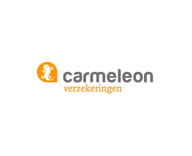 autoverzekering-nodig-naar-van-Veldhuizen