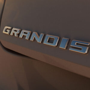 nieuw-de-Grandis
